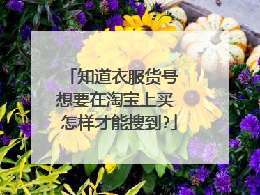 知道衣服货号 想要在淘宝上买 怎样才能搜到?
