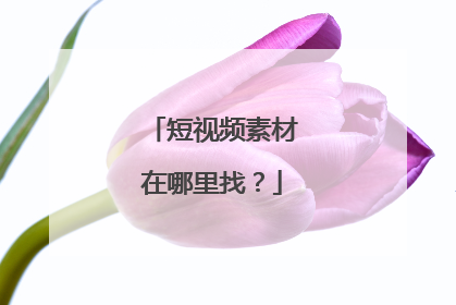短视频素材在哪里找?