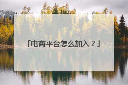 电商平台怎么加入?