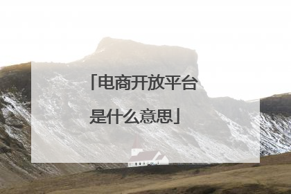 电商开放平台是什么意思