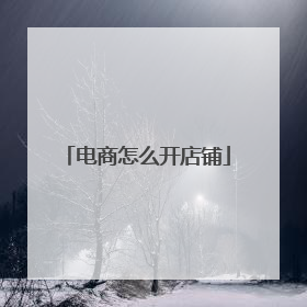 电商怎么开店铺