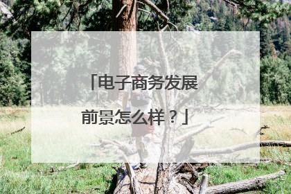 电子商务发展前景怎么样？