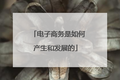 电子商务是如何产生和发展的