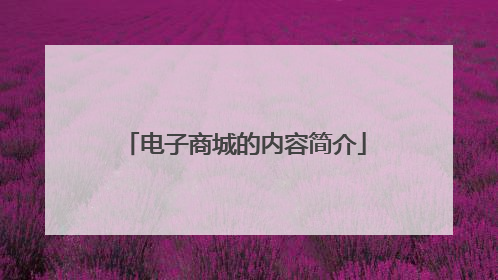 电子商城的内容简介