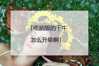 电脑版的千牛怎么升级啊