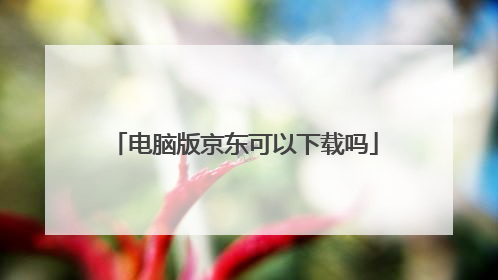 电脑版京东可以下载吗