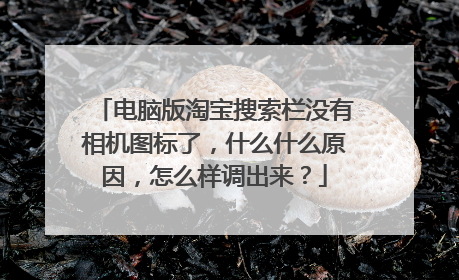 电脑版淘宝搜索栏没有相机图标了,什么什么原因,怎么样调出来?
