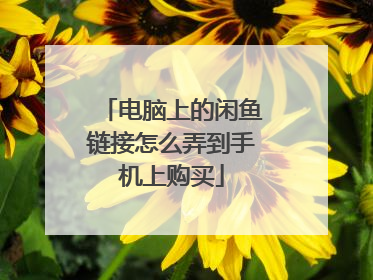 电脑上的闲鱼链接怎么弄到手机上购买