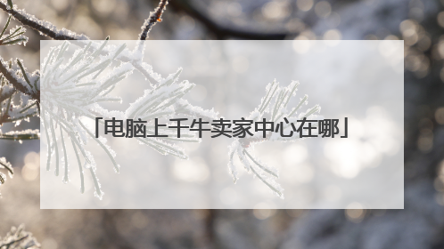 电脑上千牛卖家中心在哪
