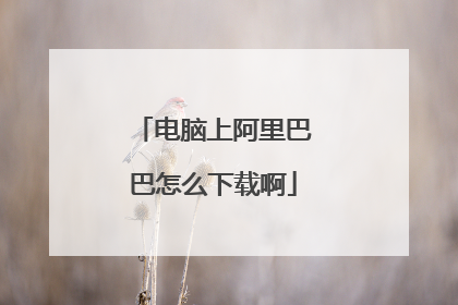 电脑上阿里巴巴怎么下载啊
