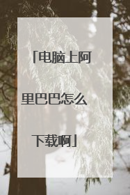 电脑上阿里巴巴怎么下载啊