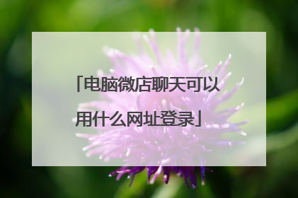 电脑微店聊天可以用什么网址登录