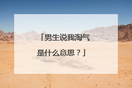 男生说我淘气是什么意思？
