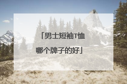 男士短袖T恤哪个牌子的好