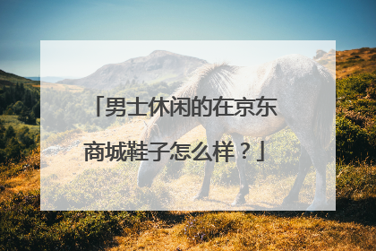 男士休闲的在京东商城鞋子怎么样?