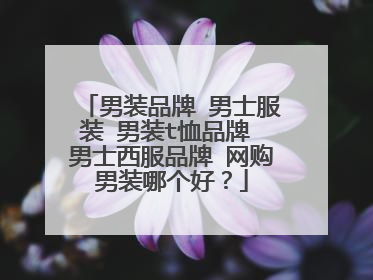 男装品牌 男士服装 男装t恤品牌 男士西服品牌 网购男装哪个好?