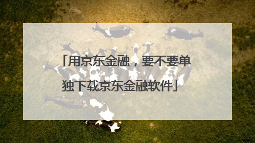 用京东金融，要不要单独下载京东金融软件