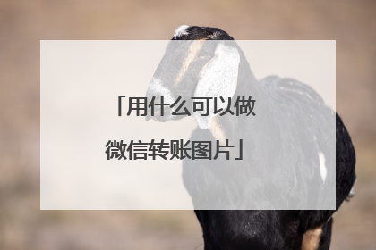 用什么可以做微信转账图片