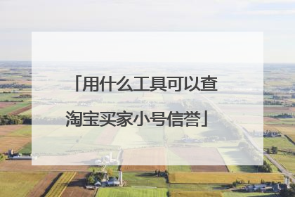 用什么工具可以查淘宝买家小号信誉