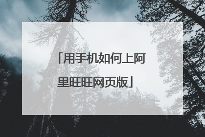 用手机如何上阿里旺旺网页版