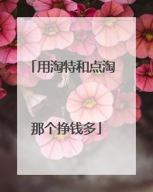 用淘特和点淘那个挣钱多