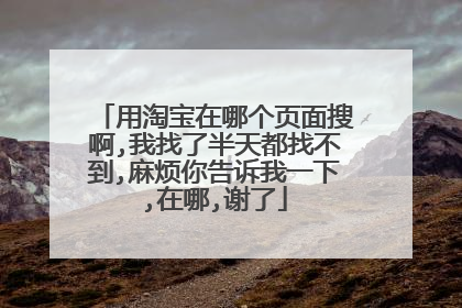 用淘宝在哪个页面搜啊,我找了半天都找不到,麻烦你告诉我一下,在哪,谢了