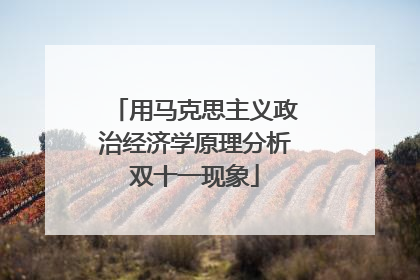 用马克思主义政治经济学原理分析双十一现象