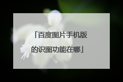 百度图片手机版的识图功能在哪