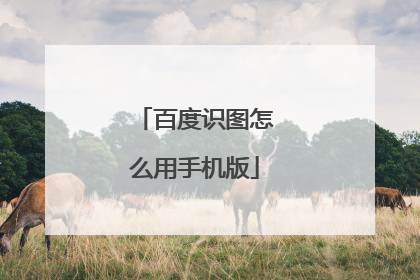 百度识图怎么用手机版