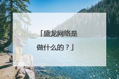 盛龙网络是做什么的？