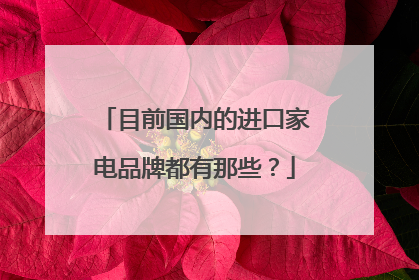 目前国内的进口家电品牌都有那些？