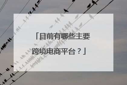 目前有哪些主要跨境电商平台？