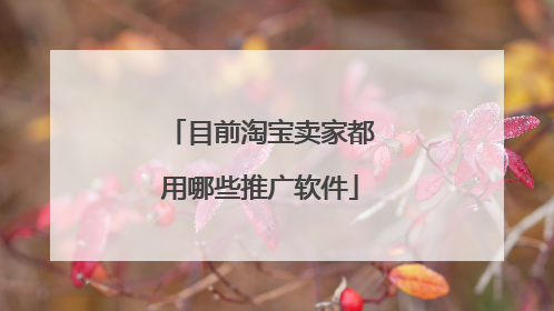 目前淘宝卖家都用哪些推广软件