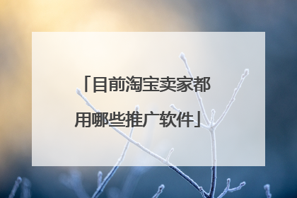 目前淘宝卖家都用哪些推广软件