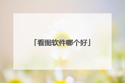 看图软件哪个好