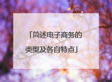 简述电子商务的类型及各自特点