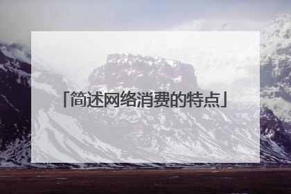 简述网络消费的特点