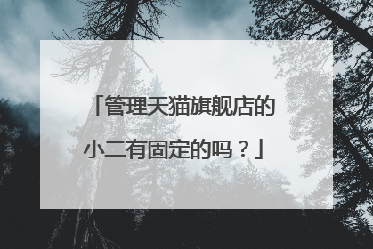 管理天猫旗舰店的小二有固定的吗?
