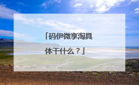 码伊微享淘具体干什么?