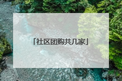 社区团购共几家