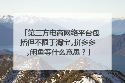 第三方电商网络平台包括但不限于淘宝,拼多多,闲鱼等什么意思？