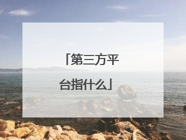 第三方平台指什么