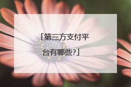 第三方支付平台有哪些?