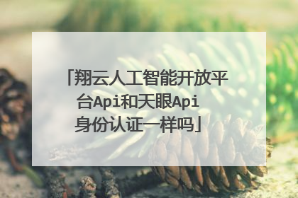 翔云人工智能开放平台Api和天眼Api身份认证一样吗