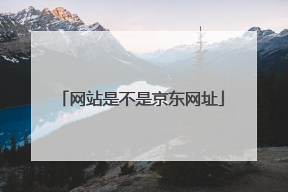 网站是不是京东网址
