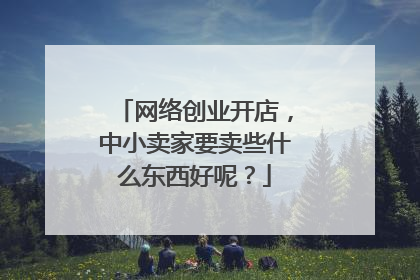 网络创业开店,中小卖家要卖些什么东西好呢?
