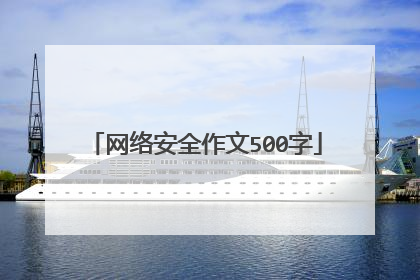 网络安全作文500字