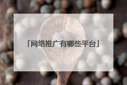 网络推广有哪些平台