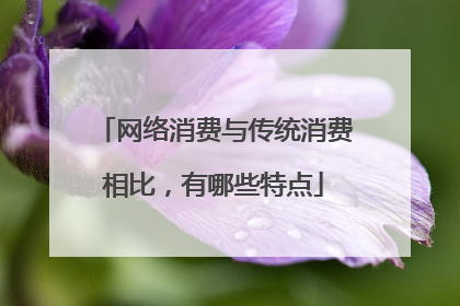网络消费与传统消费相比,有哪些特点