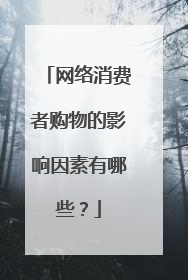 网络消费者购物的影响因素有哪些?